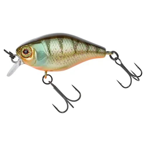 Illex Chubby 38F Agressive Perch