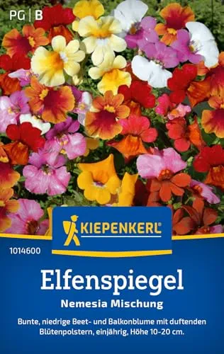 Kiepenkerl Elfenspiegelsamen Nemesia Mischung 1014600 von Kiepenkerl
