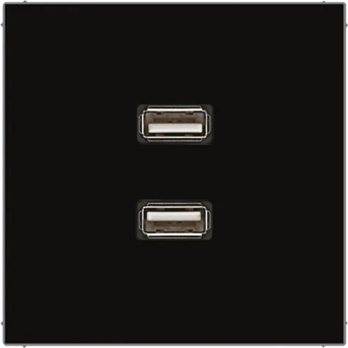 Jung Multimedia-Einsatz 2 x USB (schwarz) in schwarz von Jung Multimedia-Anschluss