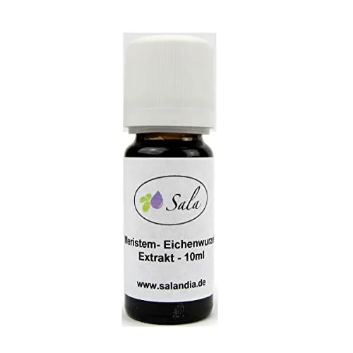Sala Meristem Eichenwurzel Extrakt (10 ml)