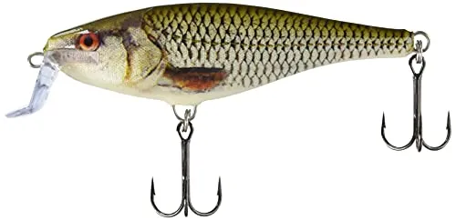 Rapala - Super Shad Rap Angelköder - Angelzubehör mit Balsakörper - Süßwasser Spinnköder - Lauftiefe 1.5-2.7m - Fischköder 14cm, 45g - Hergestellt in Estland - Live Roach