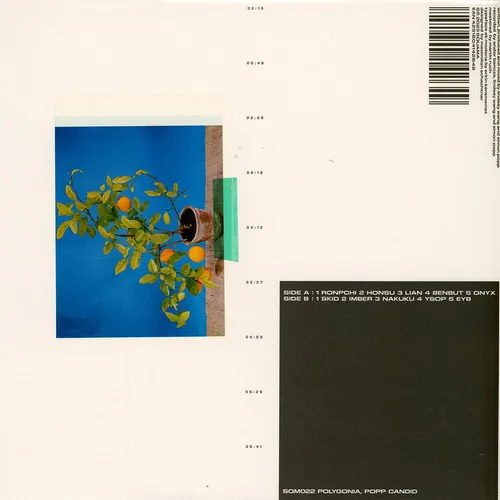 Polygonia, Popp - Candid (Vinyl LP - 2023 - Original)