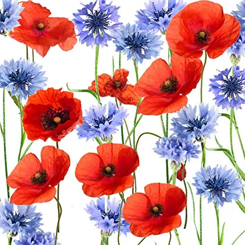 Tischdeko 20 Stück Serviette Cocktail Mohnblumen Blumenwiese Sommer