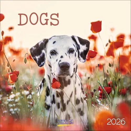 Dogs 2026: Broschürenkalender mit Ferienterminen. Hunde und Welpen. 30 x 30 cm