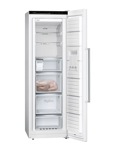 GS36NAWEP Stand Gefrierschrank