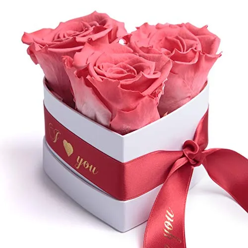 ROSEMARIE SCHULZ Heidelberg Infinity Rosenbox Herz - Ewige Korall-Rote Rosen - Konservierte Blumen in Herzform, ideal als Valentinstagsgeschenk. Diese 3 Jahre haltbaren Rosen benötigen kein Wasser und sind pflegeleicht.