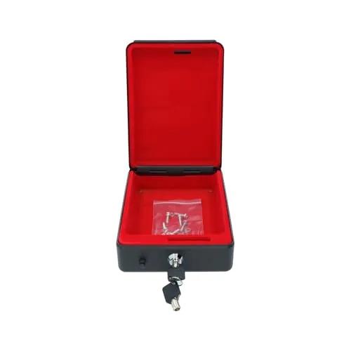 Carpoint Auto-Safe: Hochsicherheits-Wegfahrsperre