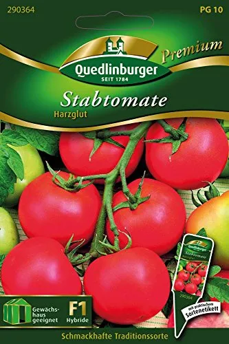 Stabtomaten Harzglut von Quedlinburger Saatgut