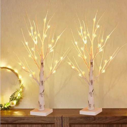 2er Set LED Baum Lichter Warmweiß, 60cm/2ft Birke LED Lichterbaum Innen mit 24 LEDs Licht, USB/Batteriebetrieben Leuchtbaum, Verstellbare Äste Innen Birkenbaum für Weihnachten Ostern Party Innendeko