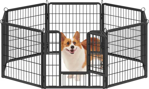 Welpenauslauf PPKDE006B01