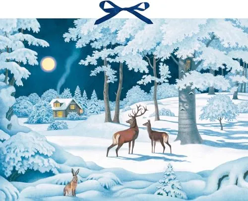 Wand-Adventskalender – Wintertiere bei Nacht - Advent & Weihnachten Geschenkbücher mit 24 Tiermotiven und informativen Texten, ideal für eine lehrreiche und festliche Vorweihnachtszeit.