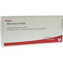 Mesenchym Gl D30 10 ML - Arzneimittel zur Injektion, unterstützt die Regeneration von Stütz- und Bindegewebe sowie die Immunabwehr bei chronisch entzündlichen Erkrankungen.