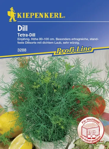 Kiepenkerl Dill Tetra ca. 200 Pflanzen