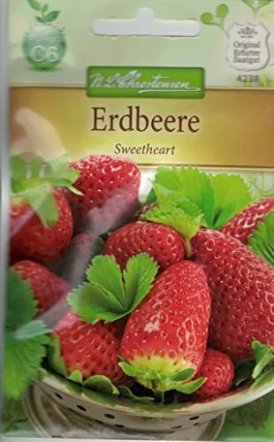 Chrestensen Erdbeere 'Sweatheart'