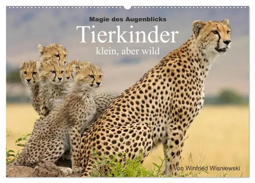 Winfried Wisniewski | Magie des Augenblicks - Tierkinder - klein, aber wild... - Ein einfühlsamer Kalender mit 14 Seiten faszinierender Tierkinder-Fotografie von Winfried Wisniewski. Ideal für Tierliebhaber und Kunstfreunde, bringt er die Schönheit der Natur in Ihr Zuhause.