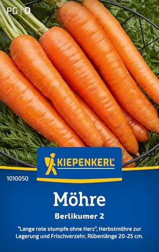 Kiepenkerl Möhrensamen Berlikumer 2 1010050 - Ertragreiche Karotten Samen mit kräftigem Geschmack - Gemüsepflanzen, Saatgut, Samen Gemüse, Karotten