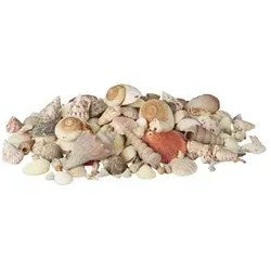 Relaxdays Muschel Deko mit Meeresschnecken 2kg Creme,Hellbraun,Rosa