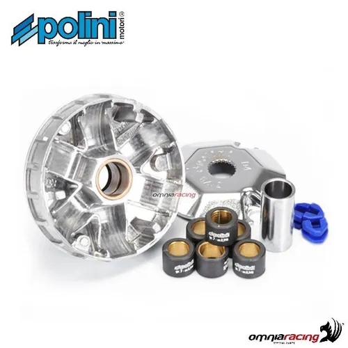 Produktbild Polini Variator für Aprilia SR50 Ditech 2T