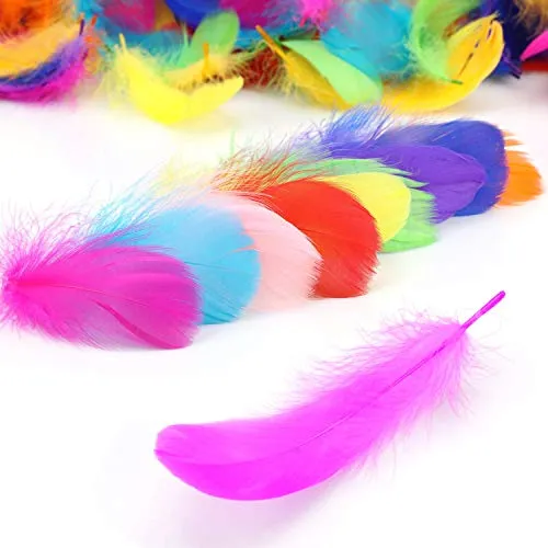 Federn Bunte,300 PCS Gänsefedern für Basteln Natürliche Federn Deko Federn für DIY Traumfänger Hüte Kostüm Millinery Home Party Decor Hochzeits Dekorationen Farbe