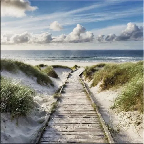 artissimo Glasbild 30x30cm - Weg zum Meer - Bilder: Zeitgenössische Kunst Fotografie in quadratischer Form, ideal für Indoor-Dekoration. Bringt die Ruhe des Strandes und die Schönheit der Dünen in Ihr Zuhause.