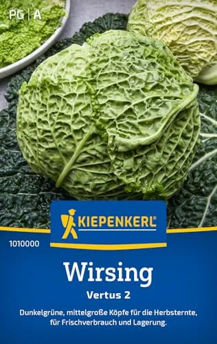 Kiepenkerl Wirsingsamen Vertus 2 1010000 von Kiepenkerl