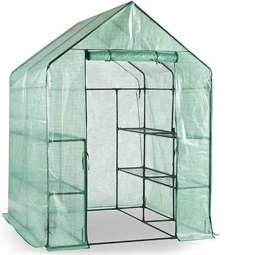 Escala Gewächshaus Treibhaus Glashaus Frühbeet (143 x 143 x 195 cm) Grün
