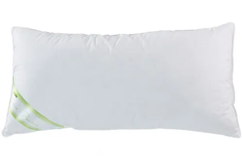 franknatur Gänsefederkopfkissen Christin, Füllung: 70% Gänsefedern, 30% Gänsedaunen, Bezug: 100% Baumwolle, Kissen mit Gänsedaunen und -federn, allergikergeeignet