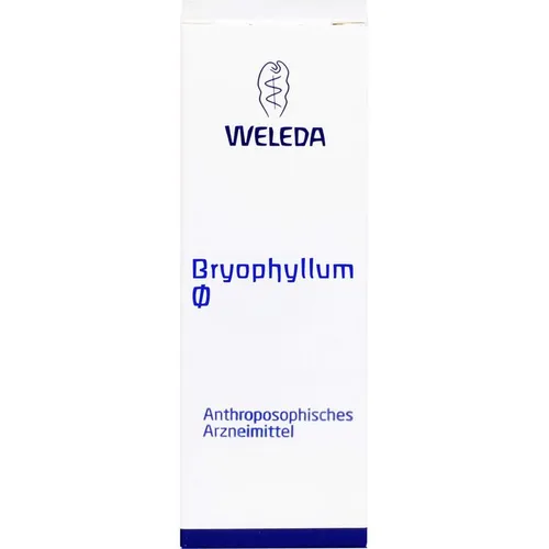Bryophyllum Urtinktur - Arzneimittel mit Kalanchoe-Extrakt, unterstützt die natürliche Heilung und ist apothekenpflichtig für Ihre Gesundheit.
