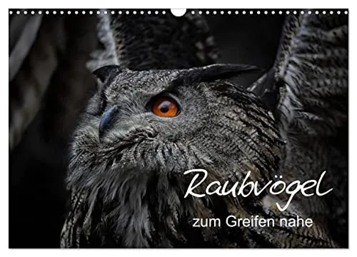 CALVENDO Wandkalender Raubvögel 2026 – Faszinierende Naturaufnahmen - Entdecken Sie 12 beeindruckende Raubvögel in einem hochwertigen Kalender. Ideal für Naturfreunde, mit FSC-zertifiziertem Papier und umweltbewusster Produktion in Deutschland.