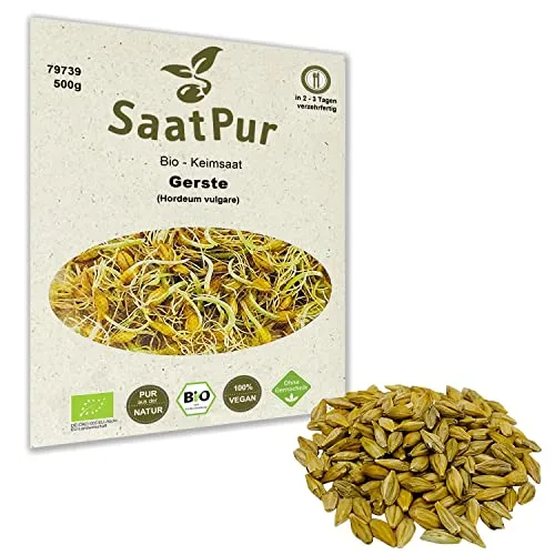 500g BIO Keimsprossen Gerste Gerstengrassaft Samen Microgreens Mikrogrün Sprossenanzucht Sprossensaat