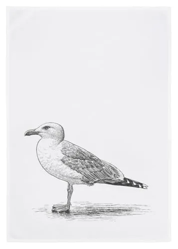 Geschirrtücher Weiß von 17;30 Hamburg