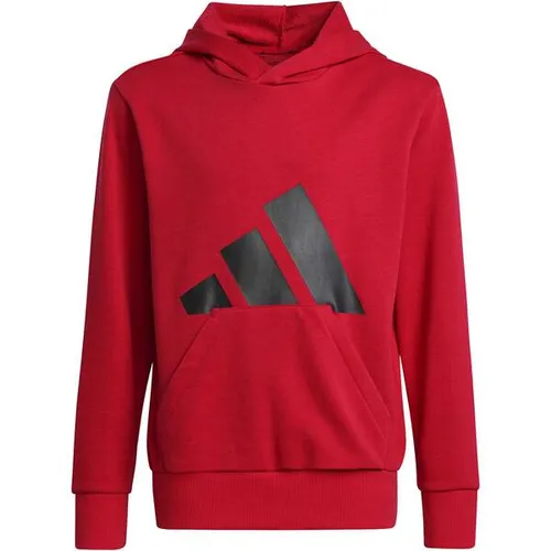 adidas Unisex Kinder Essentials Big Logo Hoodie in pink von adidas