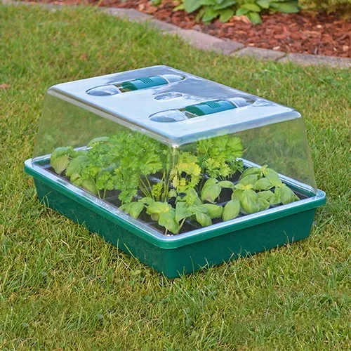 Mini Gewächshaus Kasten 38x24,5x18cm Schale 35,5x22x5cm Fachgröße 5x5x4,8cm neu