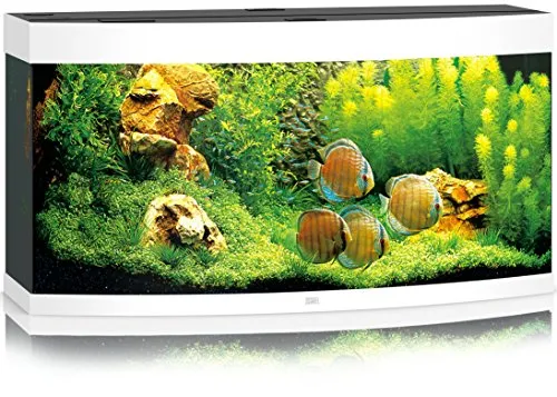 Juwel Aquarium 06450 Vision 260 LED, weiß