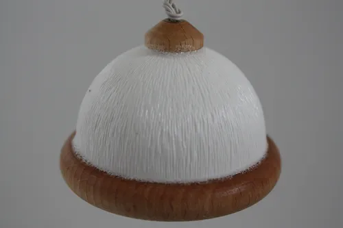 Kahlert Lampe Kunststoffschirm Holzrand 10568 Ø 40mm