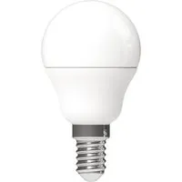 LED-Leuchtmittel E14 Globe G45 2,5 W 250,m Ø 4,5 cm x 8,2 cm