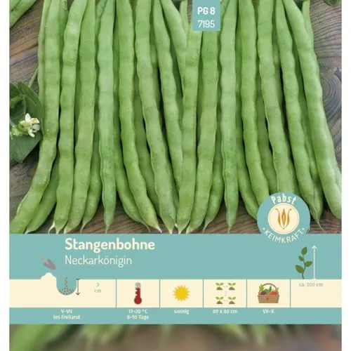 Pabst Keimkraft - Stangenbohne dickfleischig & ertragreich Neckarkönigin Samen - 177195