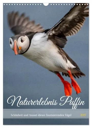 Naturerlebnis Puffin Wandkalender 2027 A3 von CALVENDO