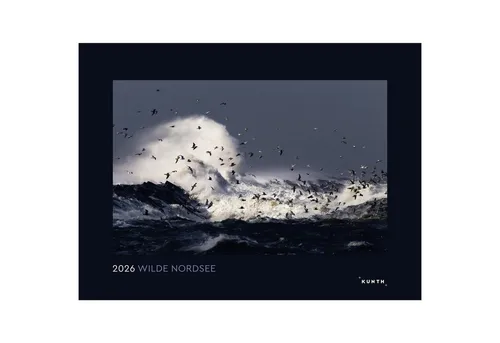 Wilde Nordsee - KUNTH Wandkalender 2026 - Europa Wandkalender mit 12 brillanten Fotografien der Nordsee. Ideal für jeden Raum, sorgt die solide Spiralbindung für eine stabile Aufhängung und ein stilvolles Design.