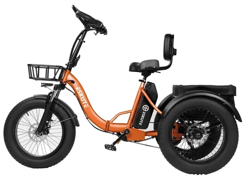 Elektrofahrrad E-Bike 250W 48V 20.8Ah Faltbar 20 Zoll