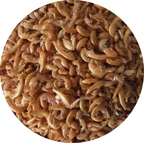 Fischfuttertreff Gammarus Bachflohkrebse Fischfutter FD Reptilienfutter Vogelfutter Nagerfutter (1 l)