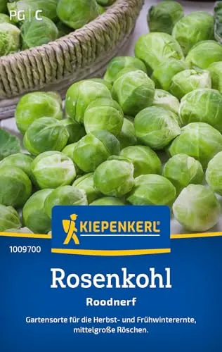 Kiepenkerl Rosenkohlsamen Roodnerf 1009700 - Mittelgroße Röschen - Inhalt für 150 Pflanzen - Gemüsesamen, Samen Gemüse, Saatgut, Gemüsepflanzen, Samen Kohl
