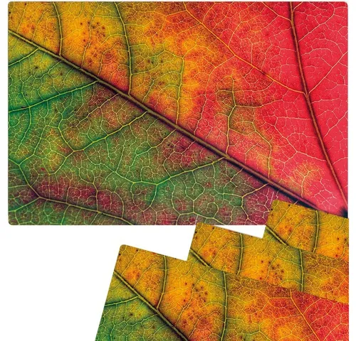 matches21 HOME & HOBBY Platzset Abwaschbare Tischsets 4er Set buntes Herbst Blatt, (4-St), Platzsets als Tisch-Untersetzer und Tisch-Deko für Esstisch Teller