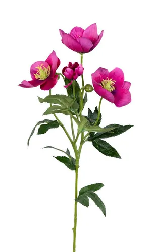 Kunstblume Christrose 62cm PM Dekoblumen künstliche Christrose Blumen Helleborus, Seidenblumen Roß, Höhe 62 cm, Farbe: Rosa-Pink