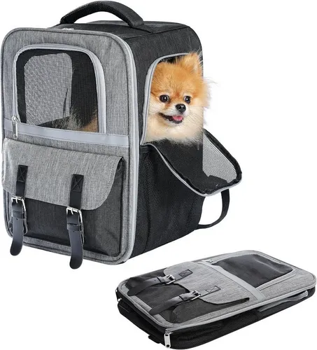 Purpurra Tiertransporttasche Haustierrucksack mit Netzfenster, Tragbar und Faltbar - Praktischer Haustierrucksack für Tiere bis 7 kg. Mit optimaler Luftzirkulation durch 4-seitige Fenster und sicherem Sicherheitsgurt. Pflegeleichtes Material und rutschfeste Gummipads sorgen für hohen Komfort und Stabilität.