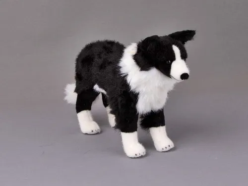 Kösen Bordercollie