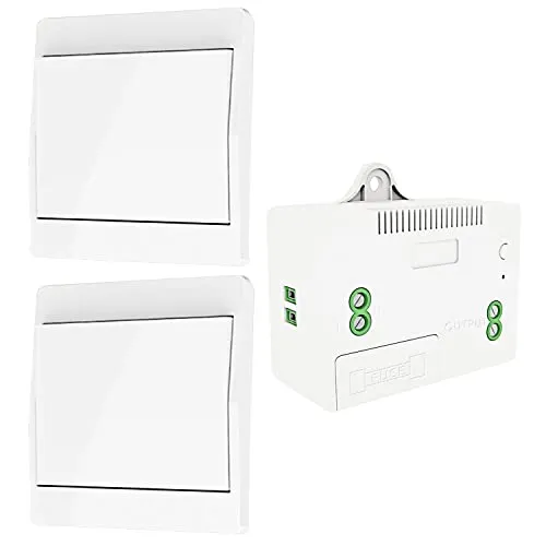 DieseRC Selbst-generierender Funk Lichtschalter, RF Funkschalter und Relais Empfänger, Controller mit Sicherung, Kinetischer Schalter ohne Batterie