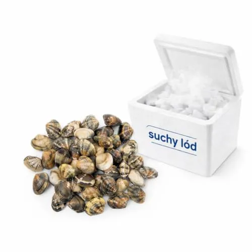 Venusmuscheln Vongole 1kg