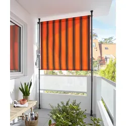 Markisen Braun von Konifera