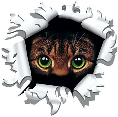 Aufkleber Einschussloch 170 mm Motiv Katze, Transparente PVC-Folie, Witterungsbeständig und Waschanlagenfest